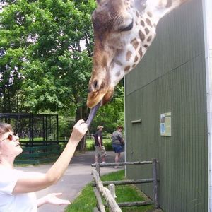 Meet your Posher, Cheri